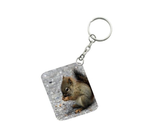 Pack Of 3_ Squirrel One Side Printed Rectangle Designer Keychain (Brown)