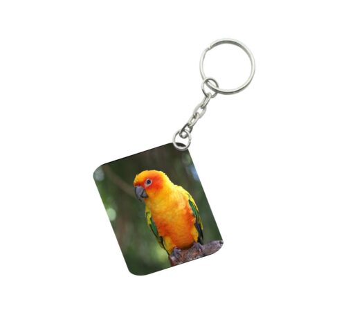 Pack Of 3_ Parrot One Side Printed Rectangle Designer Keychain (Orange)