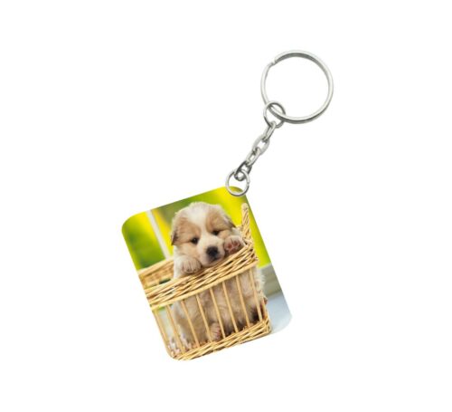 Pack Of 3_ Basket Dog One Side Printed Rectangle Designer Keychain (Brown)