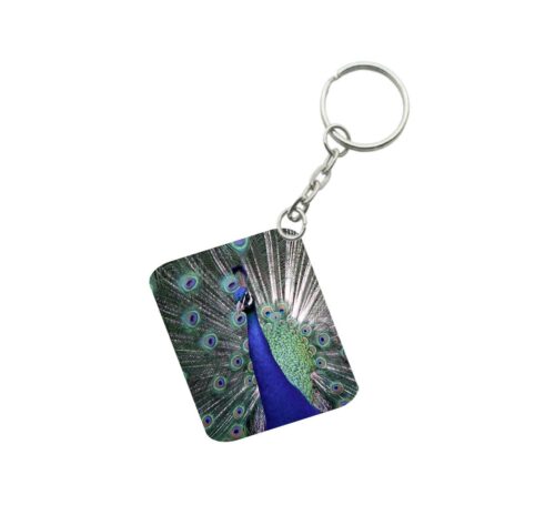 Pack Of 3_ Peacock One Side Printed Rectangle Designer Keychain (Multi Color)